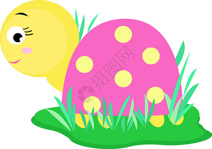 白色背景上的粉色乌龟动物艺术卡通片宠物爬虫绿色沙漠快乐水族馆背景图片