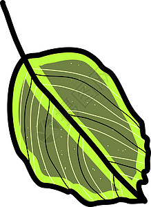 白色背景上的绿色树叶3d叶子热带植物飞行艺术插图背景图片