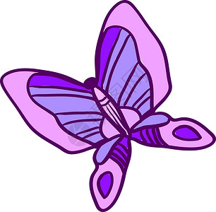 白色背景上的紫蝴蝶插画矢量背景图片