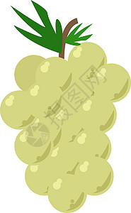 新鲜葡萄矢量白色背景上的绿葡萄插画矢量叶子插图藤蔓绿色营养食物浆果水果饮食农业插画