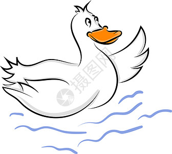 插画鸭子白色背景上的白鸭插画矢量卡通片羽毛家禽农场健康动物鸭子草图绘画黑色设计图片
