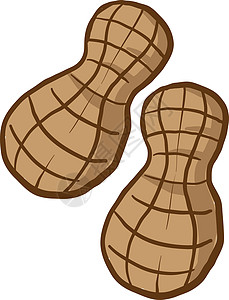 木鞋白色背景上的两个花生卡通片圆形食物健康黄油营养坚果核桃棕色插画