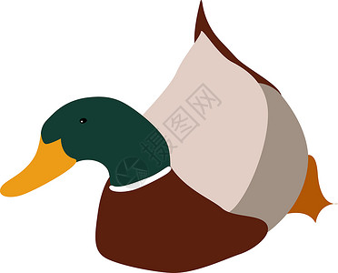 吹口哨的鸭子白色背景上的老鸭设计图片