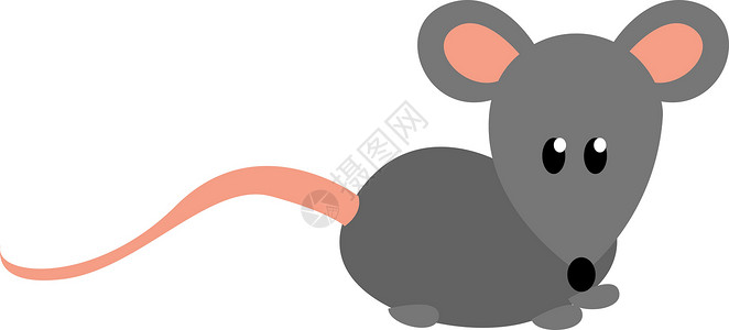 白色背景上的灰色宠物野生动物漫画动物尾巴艺术绘画卡通片老鼠害虫背景图片