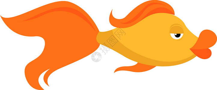金鱼尾巴白色背景上的金鱼插画矢量水族馆海洋动物尾巴热带橙子金子鱼缸宠物游泳插画