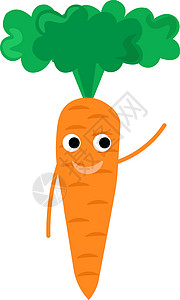 新鲜长枣白色背景上的新鲜胡萝卜插画矢量营养植物叶子食物健康绿色萝卜饮食蔬菜橙子插画
