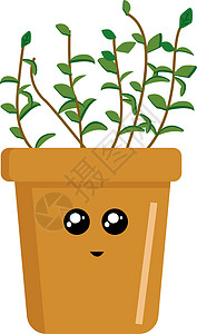 植物在白色背景上的绿色叶子花盆盆栽插图花园园艺背景图片