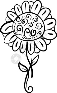 白色背景上的雏菊雕刻植物黑色植物学草图绘画装饰花园甘菊墨水背景图片