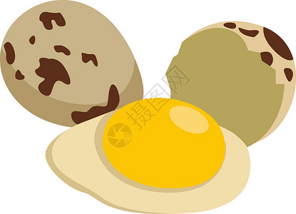 煮鹌鹑蛋白色背景上的鹌鹑蛋插画