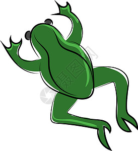 蛙跳白色背景上的绿色青蛙插画矢量环境漫画两栖插图蟾蜍橙子野生动物微笑卡通片眼睛插画