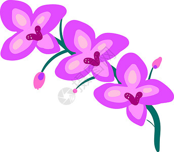 白色背景上的扁平黑色花瓣植物学艺术标签粉色绘画贴纸卡通片紫色背景图片