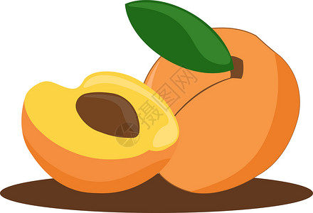 两粒杏卡通水果白色背景上的杏插图甜点草图食物饮食叶子艺术水果橙子插画