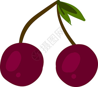 白色背景上的樱桃标签宏观叶子卡通片插图水果绿色甜点食物红色背景图片