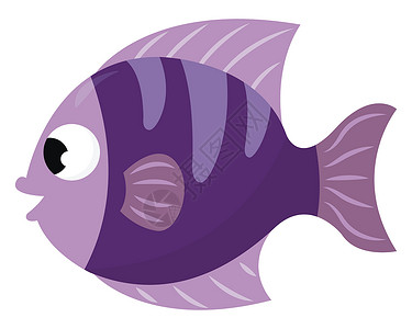 白色背景上的紫色鱼背景图片