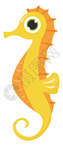 海马图标白色背景上的黄色海马背景