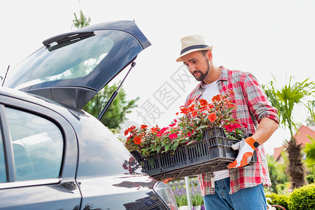 车后箱成熟园丁将花朵放在车干箱装送货的箱子上的肖像温室农业设计生长生态畅销书职业花园店铺购物背景