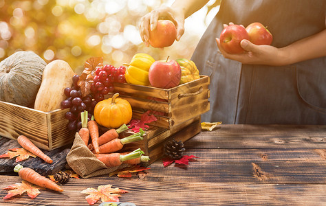 秋天的秋天季节有水果和蔬菜的农夫 感恩节的概念 掌声收成花园聚宝盆公园播种机收获农场南瓜感恩采摘背景图片