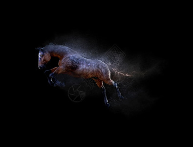 一匹马随尘粒效应而移动和跳跃高清图片