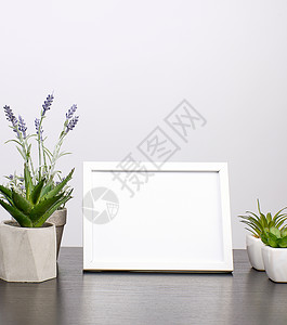 植物房子边框空白边框 黑桌上花朵的花盆背景