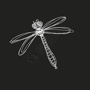 蜻蜓白色白蜻蜓设计图片