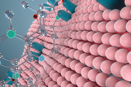 糖脂细胞膜和生物学 生物概念 3D感应药品科学运输宏观渗透细胞质脂类外设原生质生活背景