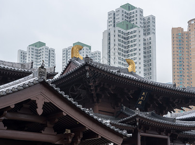 香港钻石山地区的塔楼宗教城市佛教徒植物园林公园尼姑庵公共公园庭院背景图片