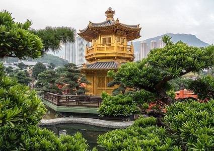 香港钻石山地区的南连园花园园林宗教公园植物佛教徒城市公共公园背景图片