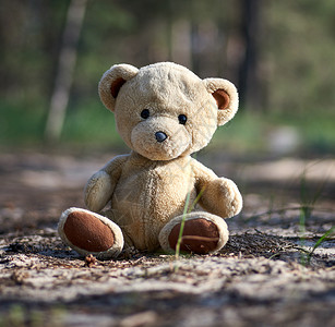 被抛弃的棕色泰迪熊坐在森林中央i娃娃玩具毛皮公园乐趣季节森林寂寞童年孤独背景图片