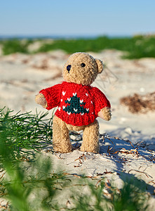 红毛衣的棕色泰迪熊 在沙滩上童年毛皮季节性季节动物红色孤独乐趣玩具娃娃背景图片