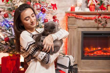 抱猫圣诞节灰色休息室躺着高清图片
