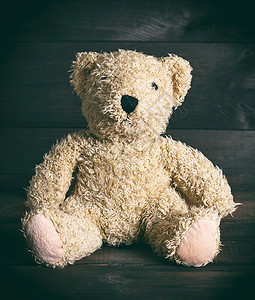 棕色柔软泰迪熊坐下背景图片