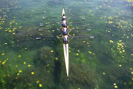 桨手绿湖上妇女四倍排行队竞争蓝色四联血管闲暇锦标赛活力运动团队力量背景