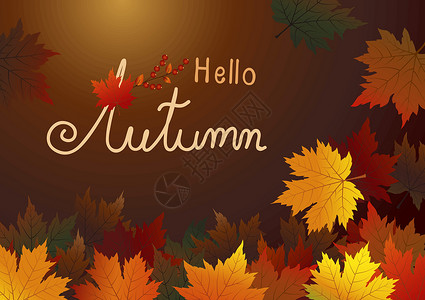 秋天问候语秋天的枫叶棕色背景矢量它制作图案插画