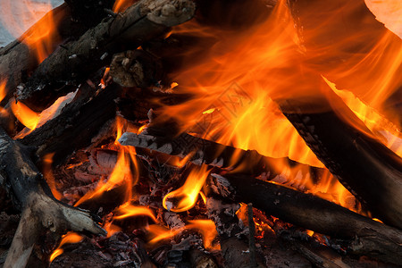 燃烧烧火日志橙子篝火危险烧伤木头活力红色背景图片