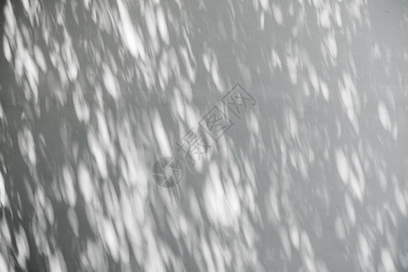 石膏墙体上的树影背景图片