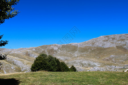 Bjelasnica山上的山区荒芜背景图片