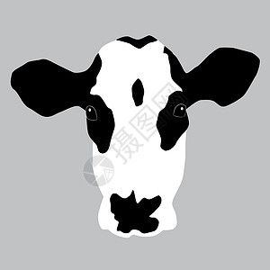 荷斯坦奶牛一个公司的肖像插画