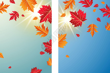 加拿大秋天秋天的落叶与阳光背景矢量它制作图案插画