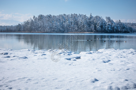 湖 德国冬季风景蓝色高山草地游泳动物鸟类情绪高清图片
