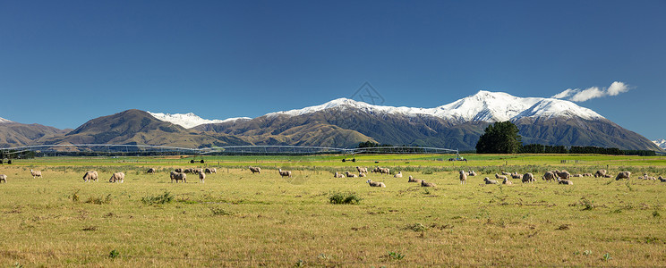 赫伯罗特新西兰南部泰勒山和赫特山的景象场地植物群全景植物赫特人蓝色动物房屋旅行天空背景