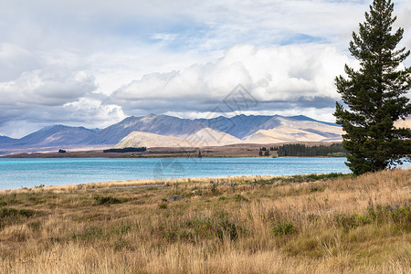 麦肯齐新西兰Tekapo湖国家天空天气全景顶峰旅行树木蓝色公吨旅游背景