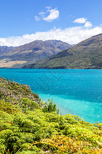 玛戈湖Wanaka湖新西兰南部岛屿旅行反射全景天空天线晴天风景旅游农村海岸背景