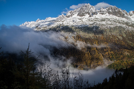 山树剪影法国阿尔卑斯山的秋天剪影自动化国家寒冷季节天气风景树木世界各地背景