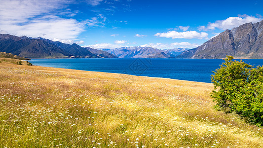 Wanaka湖新西兰南部岛屿天线风景天空草地反射顶峰橙子农村爬坡全景图片