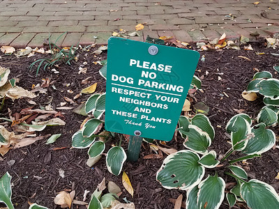 绿绿 请不要放狗停车标志和植物背景图片