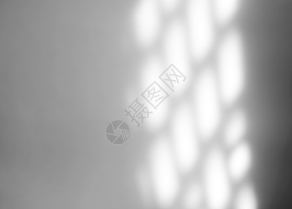 白色纹理背景上的窗口自然阴影叠加效果摄影植物学展示照片植物作品黑与白海报墙纸太阳背景图片