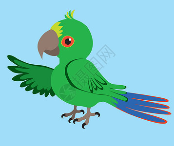 鳖形目Parrot 鹦鹉热带羽毛卡通片灭绝鹦形目情调鸟类宠物动物群异国插画