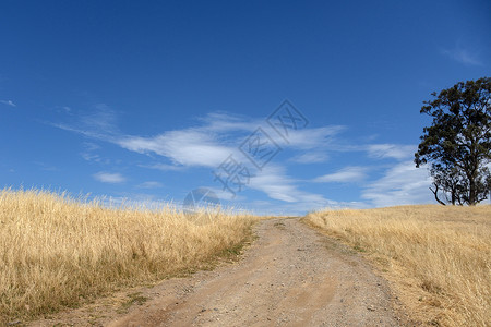 在维克托Tallangatta路上通往山丘的景象路晴天旅游农村旅行风景树木天空爬坡蓝色蓝天背景图片