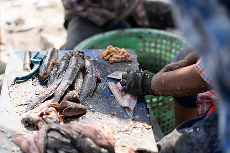 蒙皮切蛇头鱼被切割和清洗背景