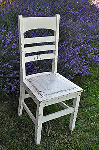 花园中的旧白椅子背景图片